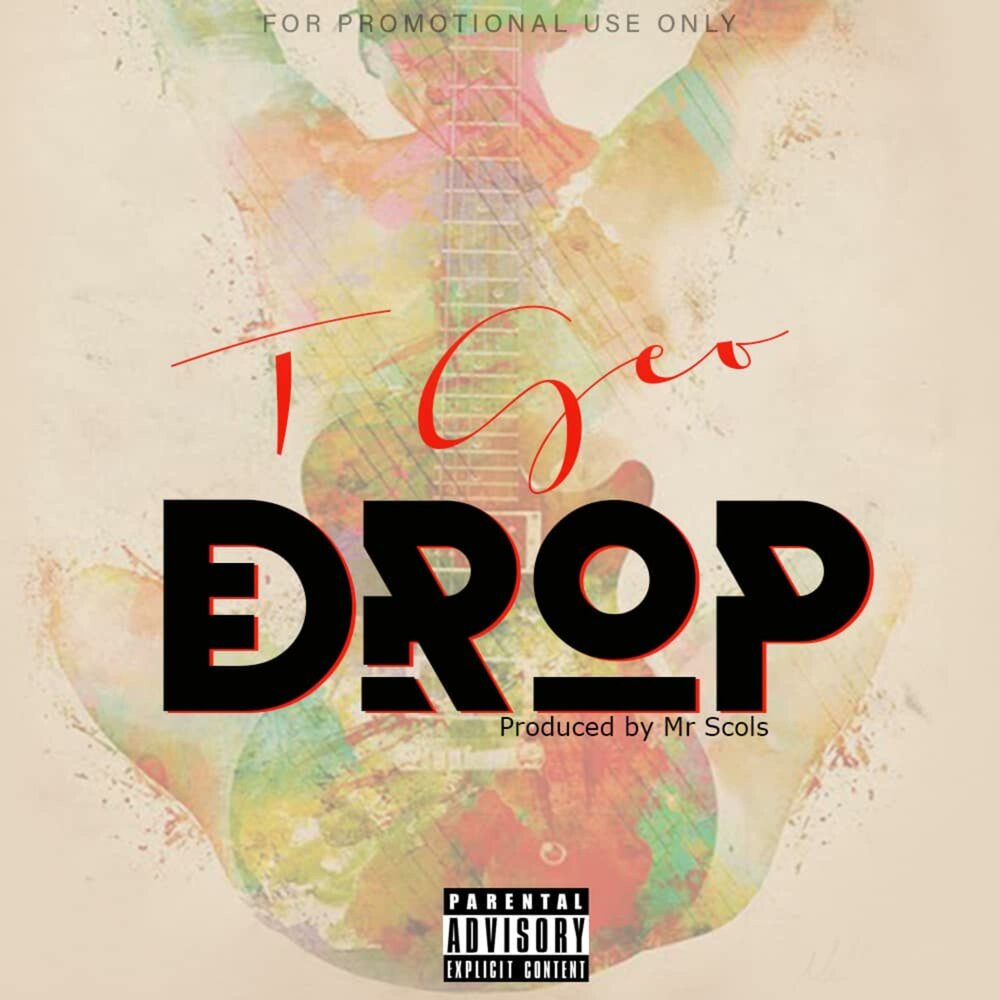 Drop album