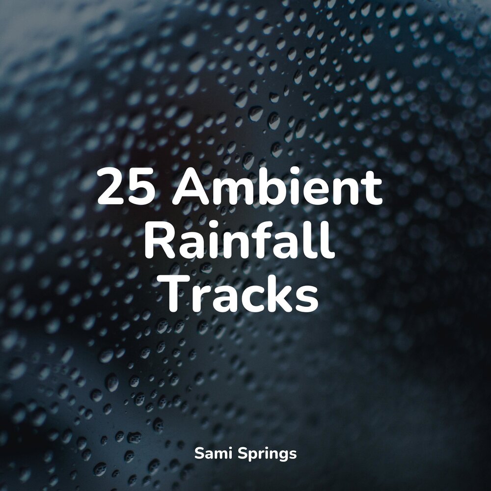 Rain track