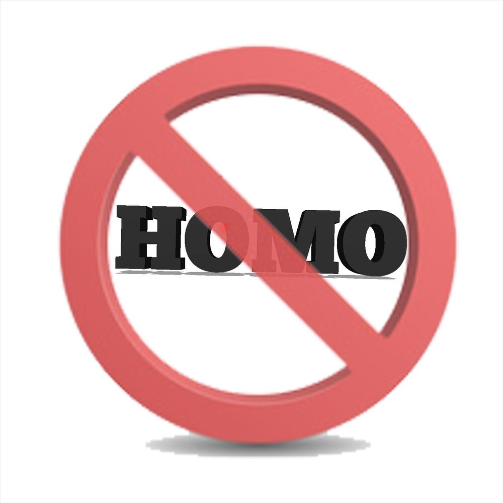 Включи false. No homo. No homo песня.