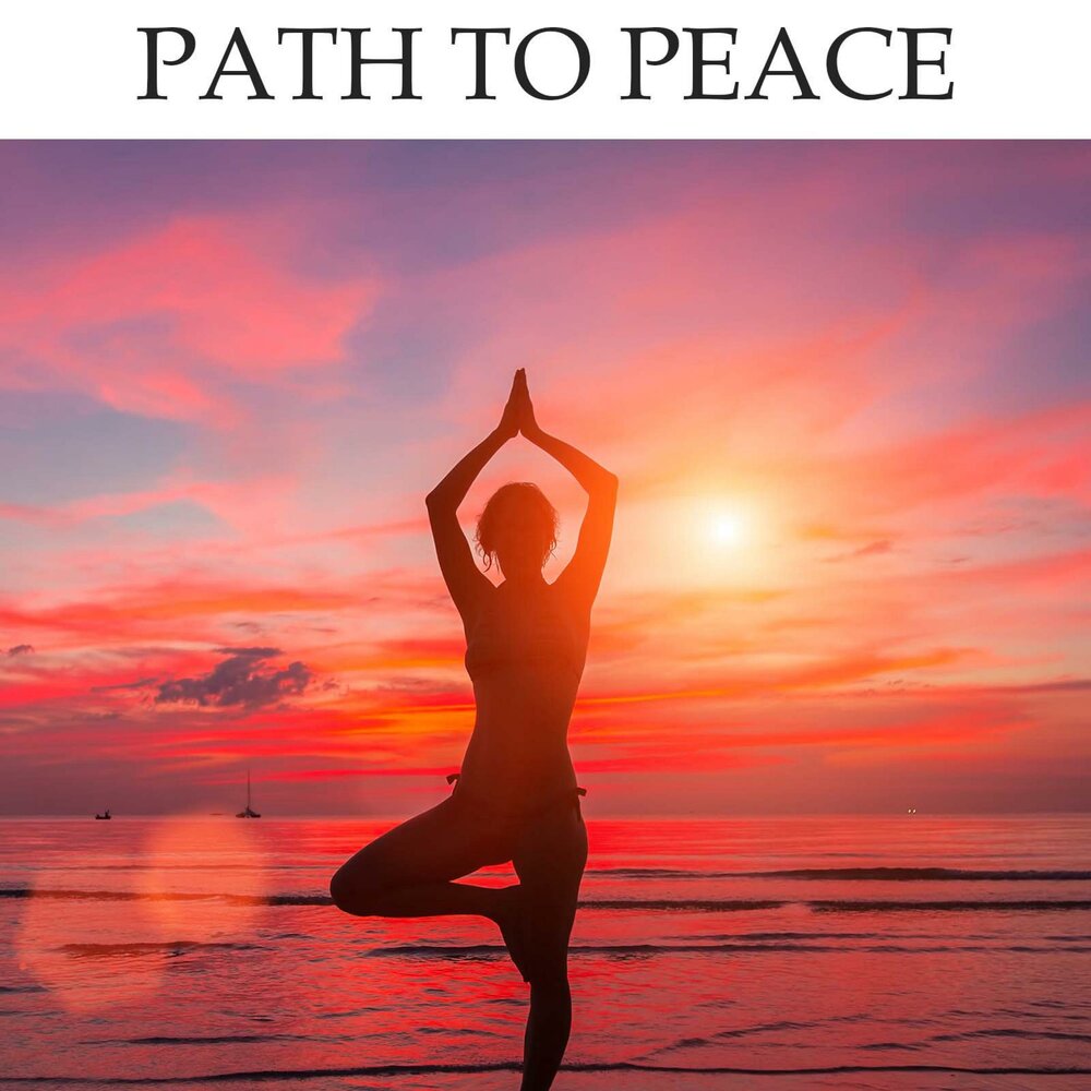 Cross-diffusion system models. Человек идет по дороге. Пробежка в лесу. Path touch. Идет по дороге.