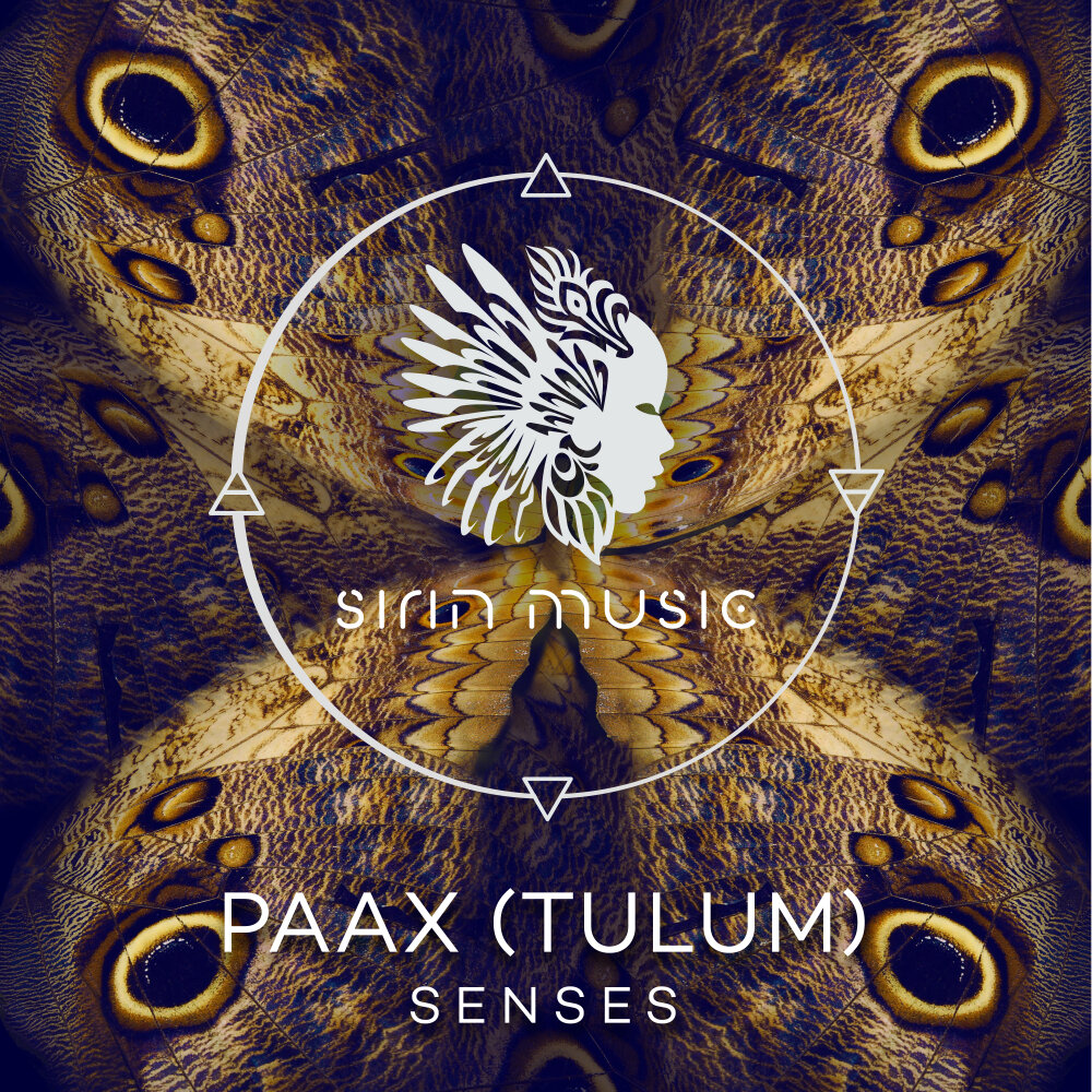 Paax tulum это кто. Paax (tulum), stefan obermaier senses. Moscoman. Rapossa группа. Paax tulum.