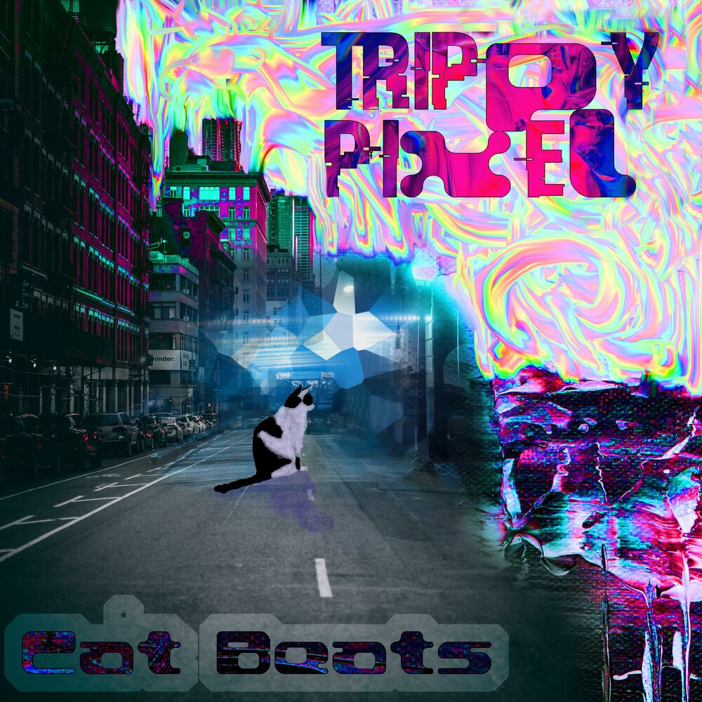 Cat beats