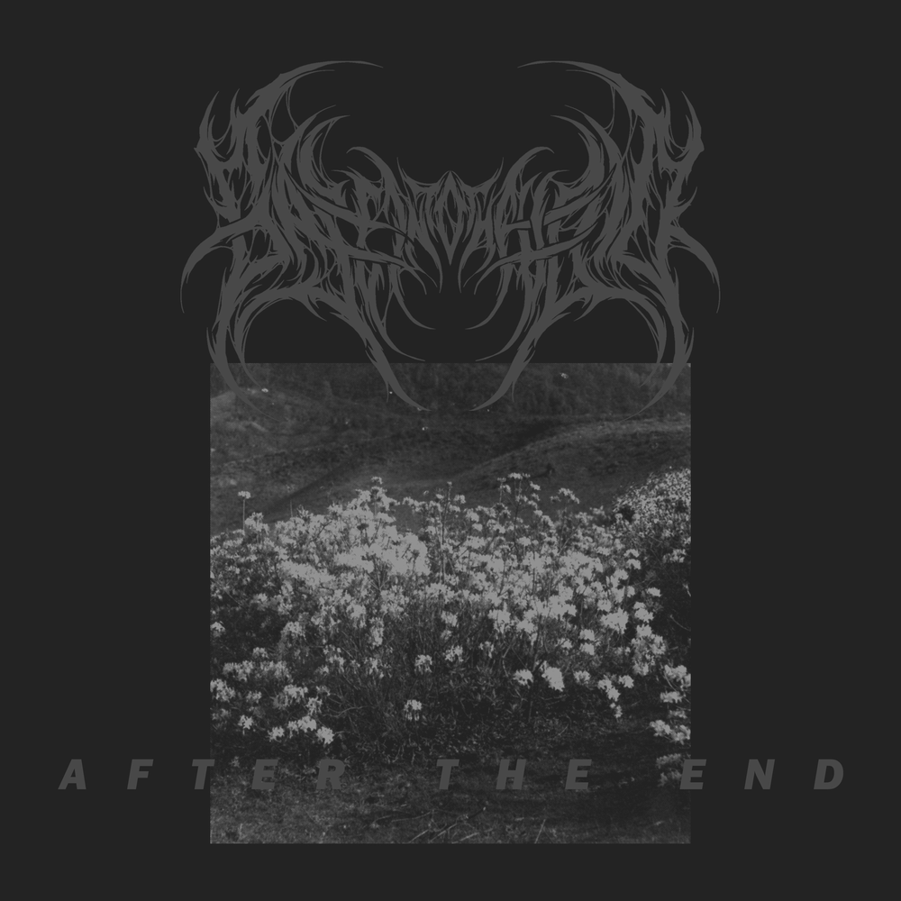 After void. Into the void.
