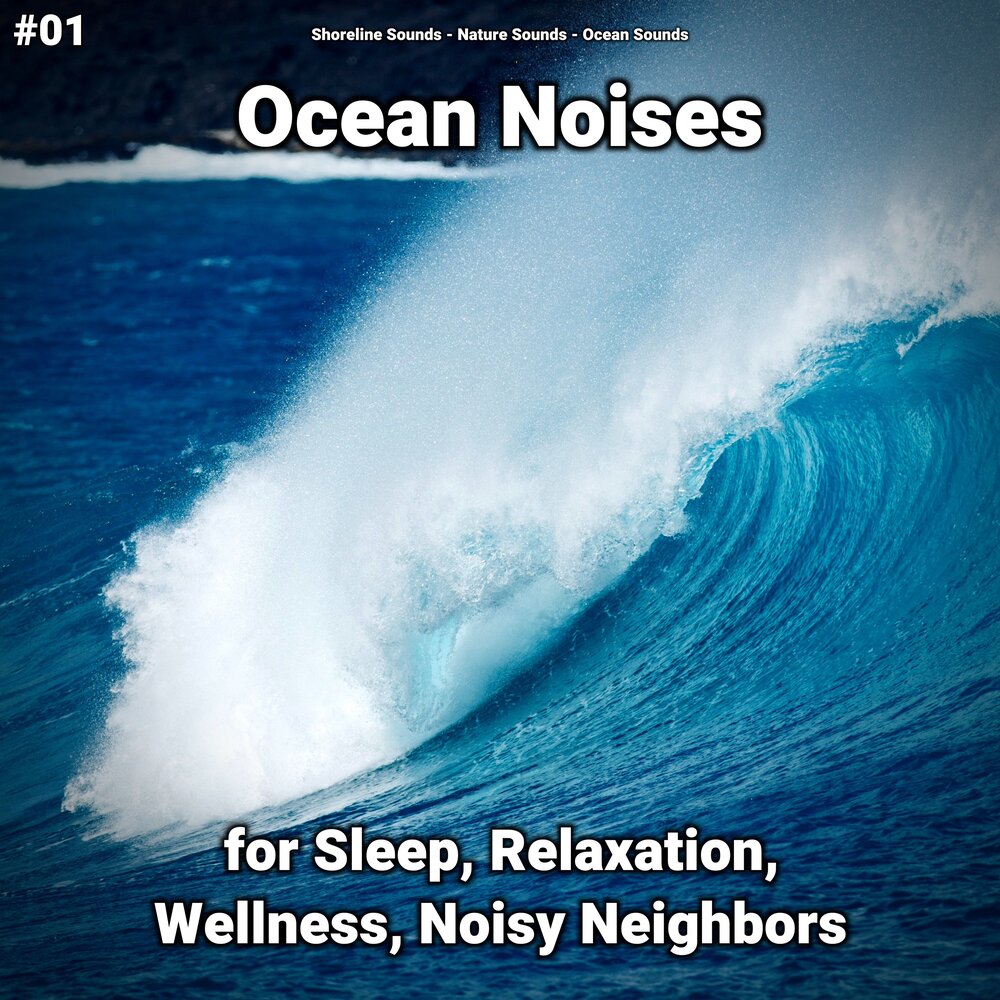 Ocean neighbor. Ocean Noise.