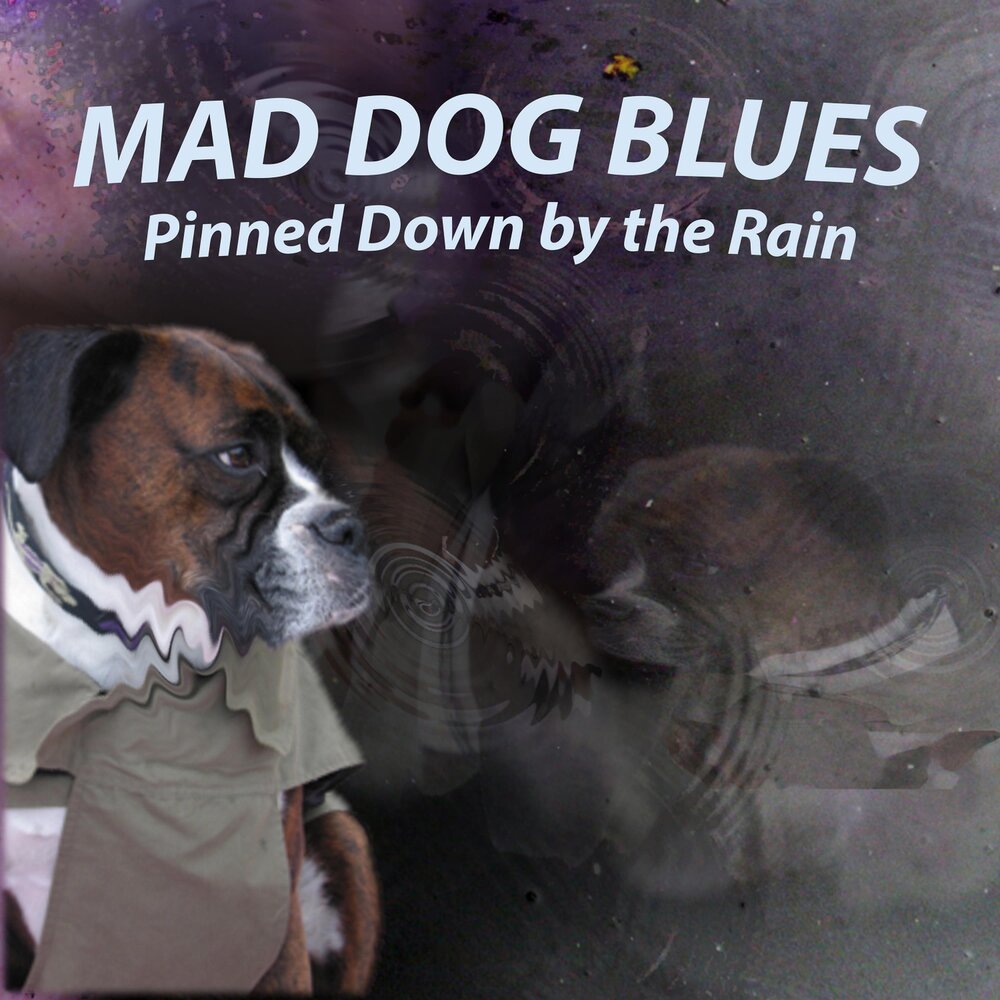 Dogs blues