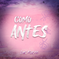 artist-cover