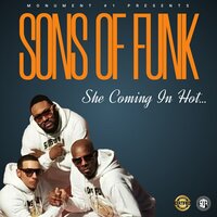 Sons Of Funk