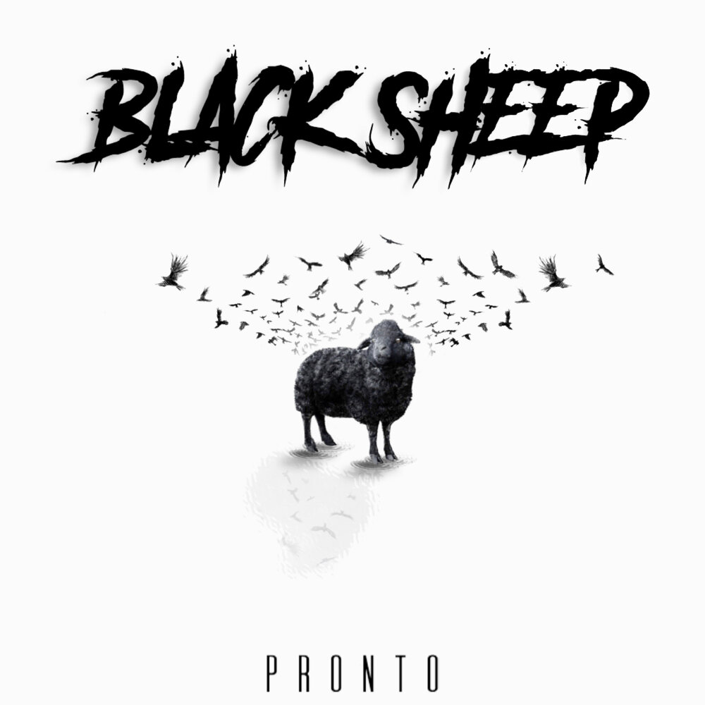 Black sheep текст