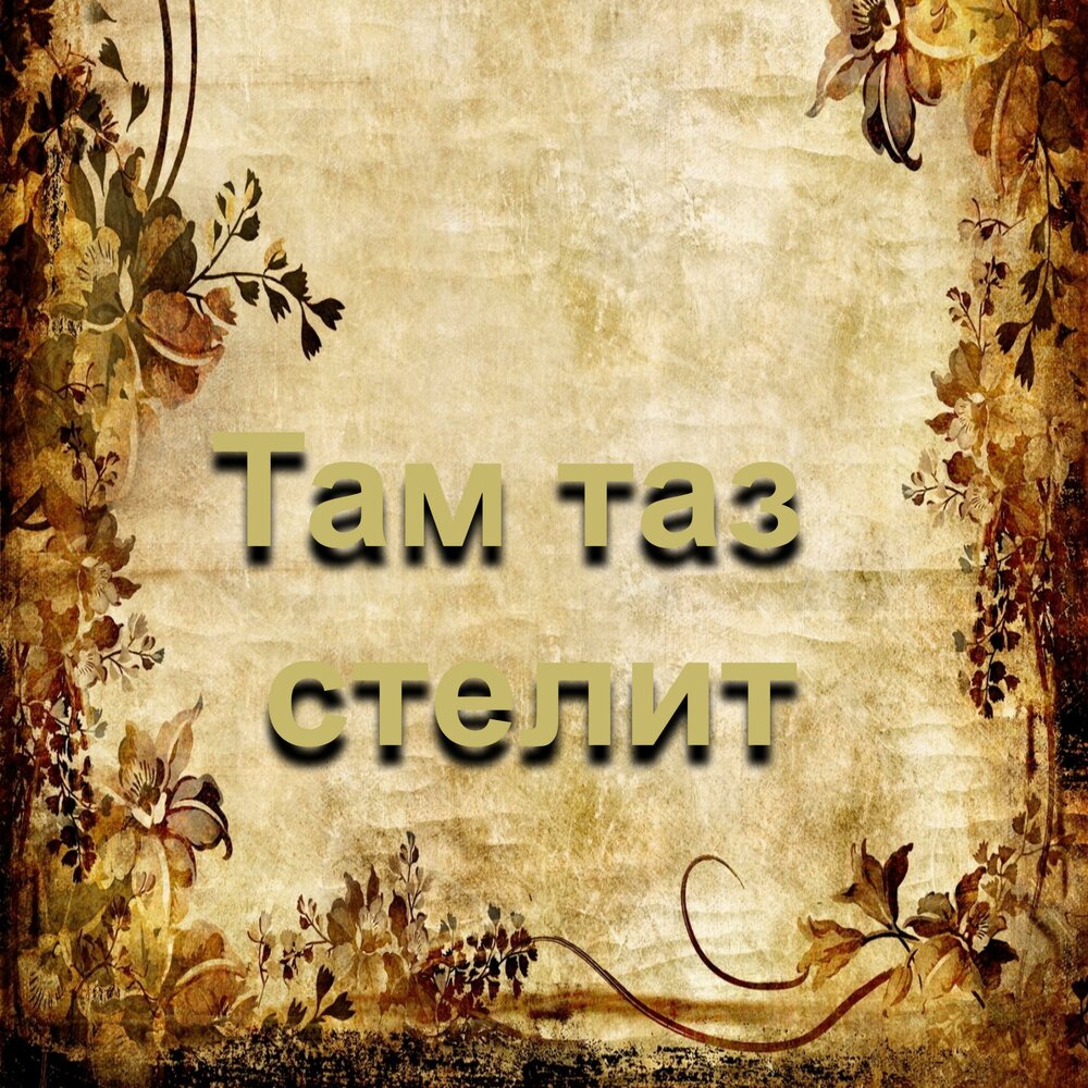 Там таз стелит джанки. Таз стелит. ZTB.