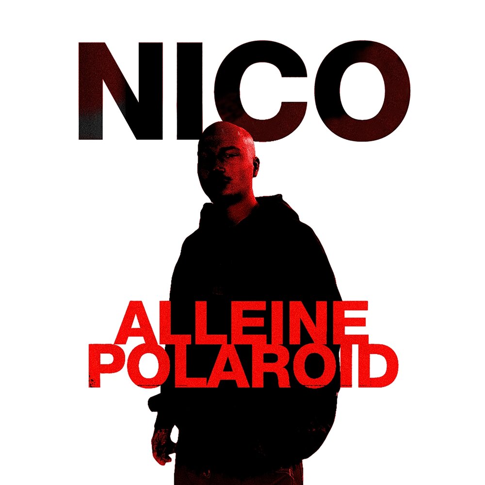Niko and the niners. Nico & winz - am i wrong. Twenty one pilots на пианино. Музыка nico. Nico & vinz.