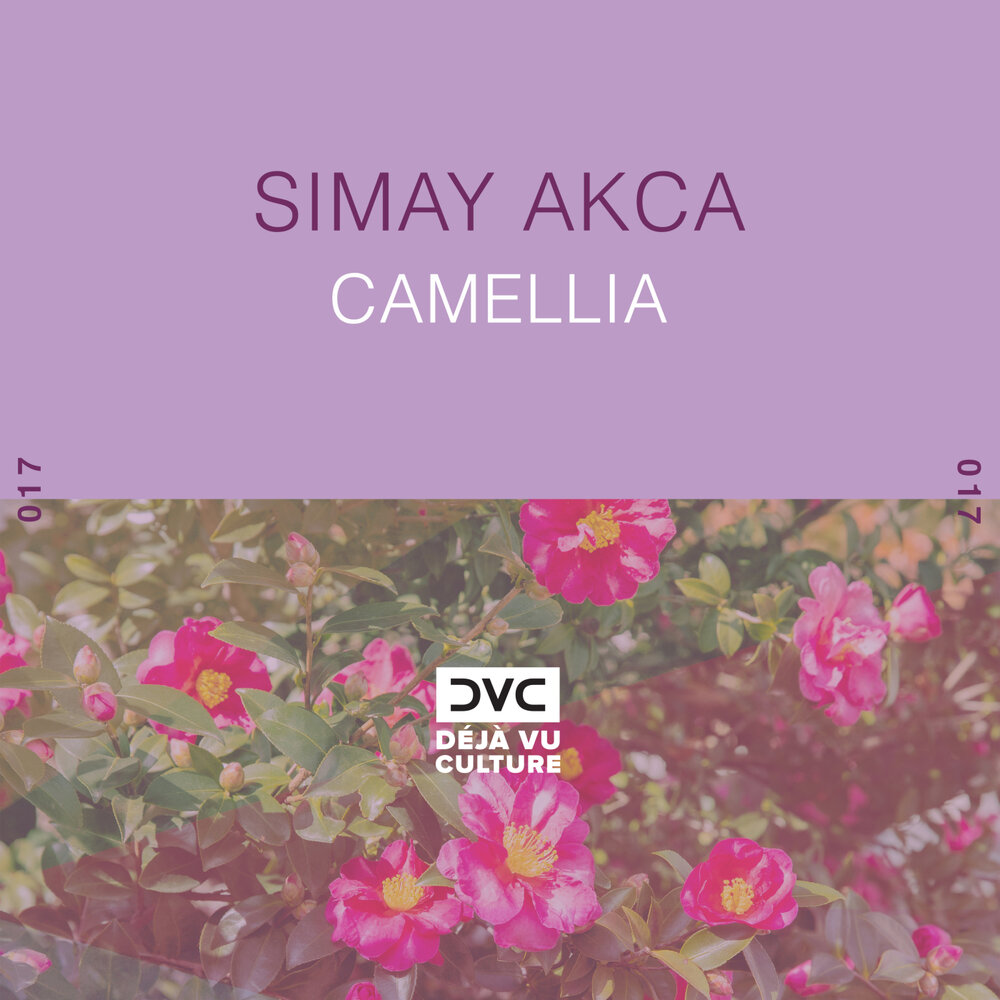 Камелия слушать. Camellia Songs. Camellia песня. Text Camelia.