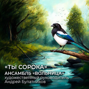 Ты сорока