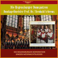 Die Regensburger Domspatzen