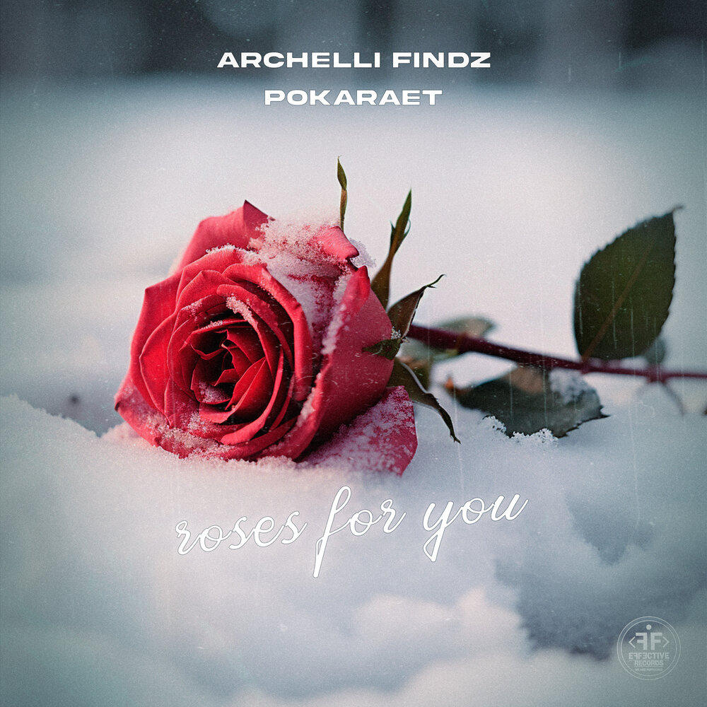 Archelli findz angels. Archelli Findz - in my Heart. Pokaraet. Arkein pokaraet Malabe.