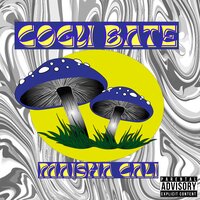 artist-cover