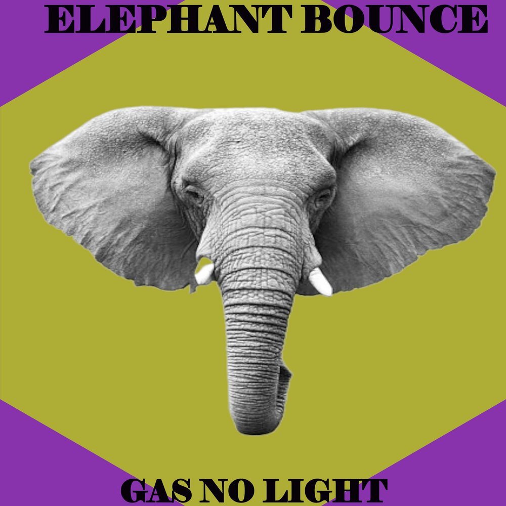 Elephant music. Elephant альбом. Elephant обложка альбома. Альбом слон в круге. Слоны и музыка.