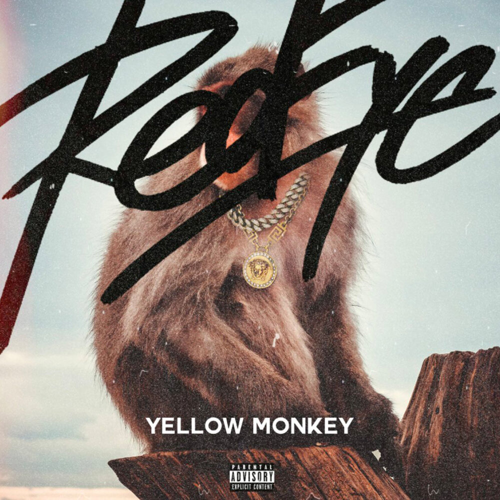 Text monkey. Yellow Monkey. Ава the Yellow Monkey. Yello "the Eye". Monkey Eyes.