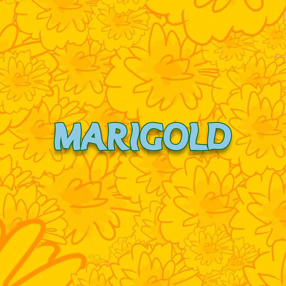 Marigold перевод. Marigold перевод на русский.