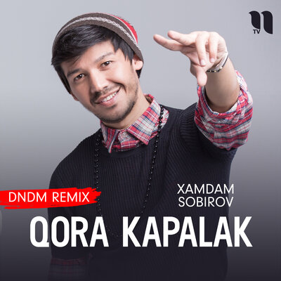 Скачать песню Хамдам Собиров - Qora kapalak (DNDM remix)