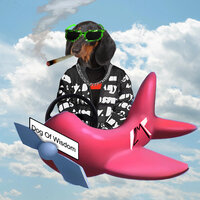 artist-cover