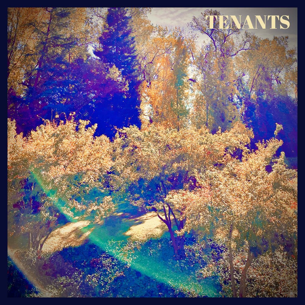 YandexMusic profile picture