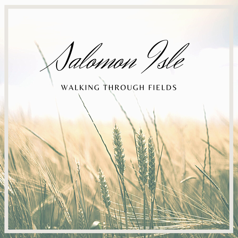 Through fields. Колонна беженцев. Дорога в поле. He walked through the fields. Through fields.