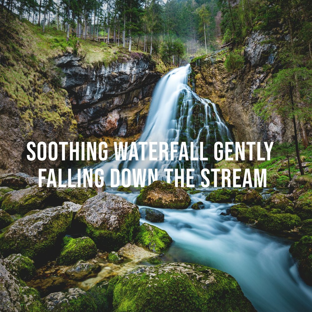 живая вода. Don't lose what you can't replace. Singularity кэтрин. • grizzly river run. Stream down.