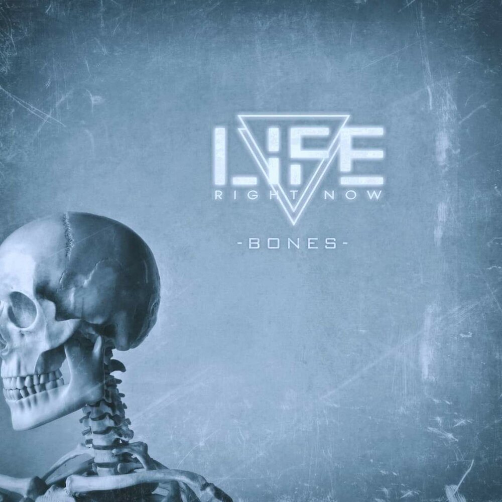 Now bone. Bones альбомы. Bones сейчас 2022. Bones сейчас. Обои в стиле Bones.