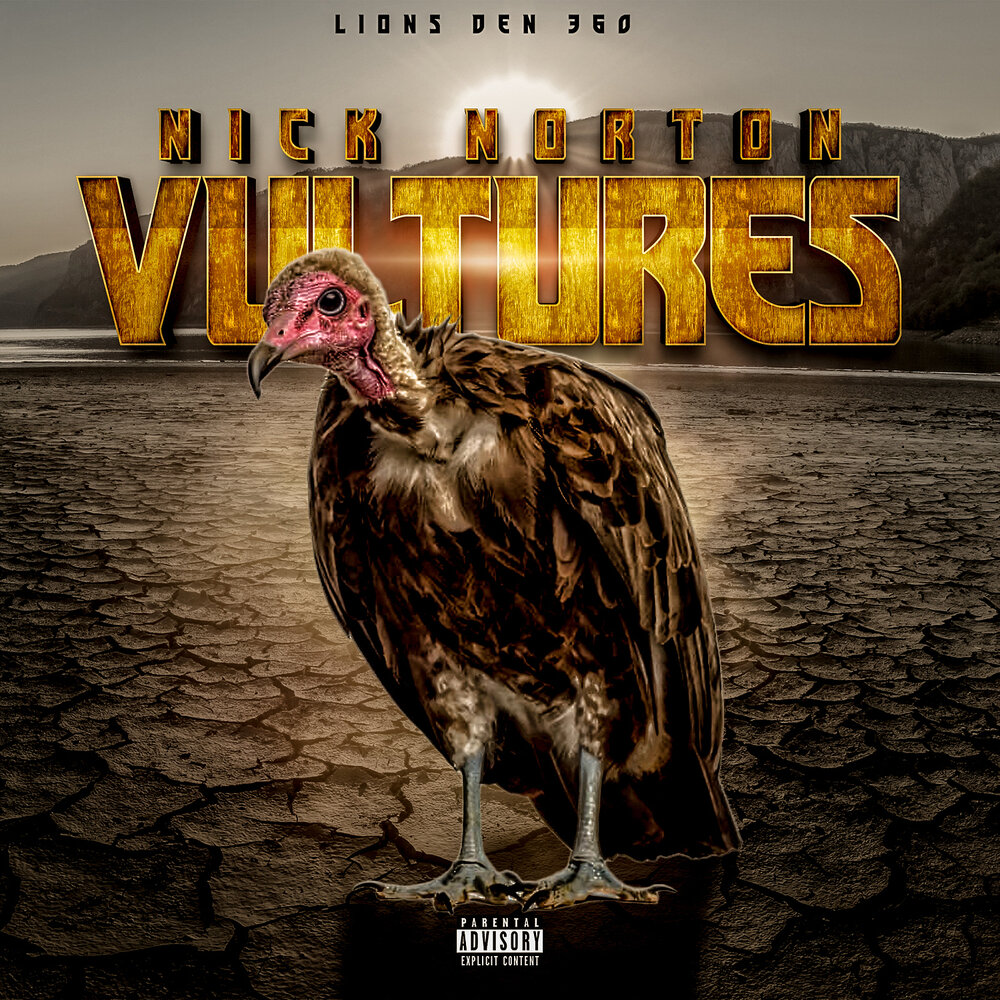 Vultures album. Vultures альбом. Обложка альбома Vultures. Альбом Vultures 1. Vultures 1 album Cover.