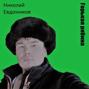 Николай Евдокимов