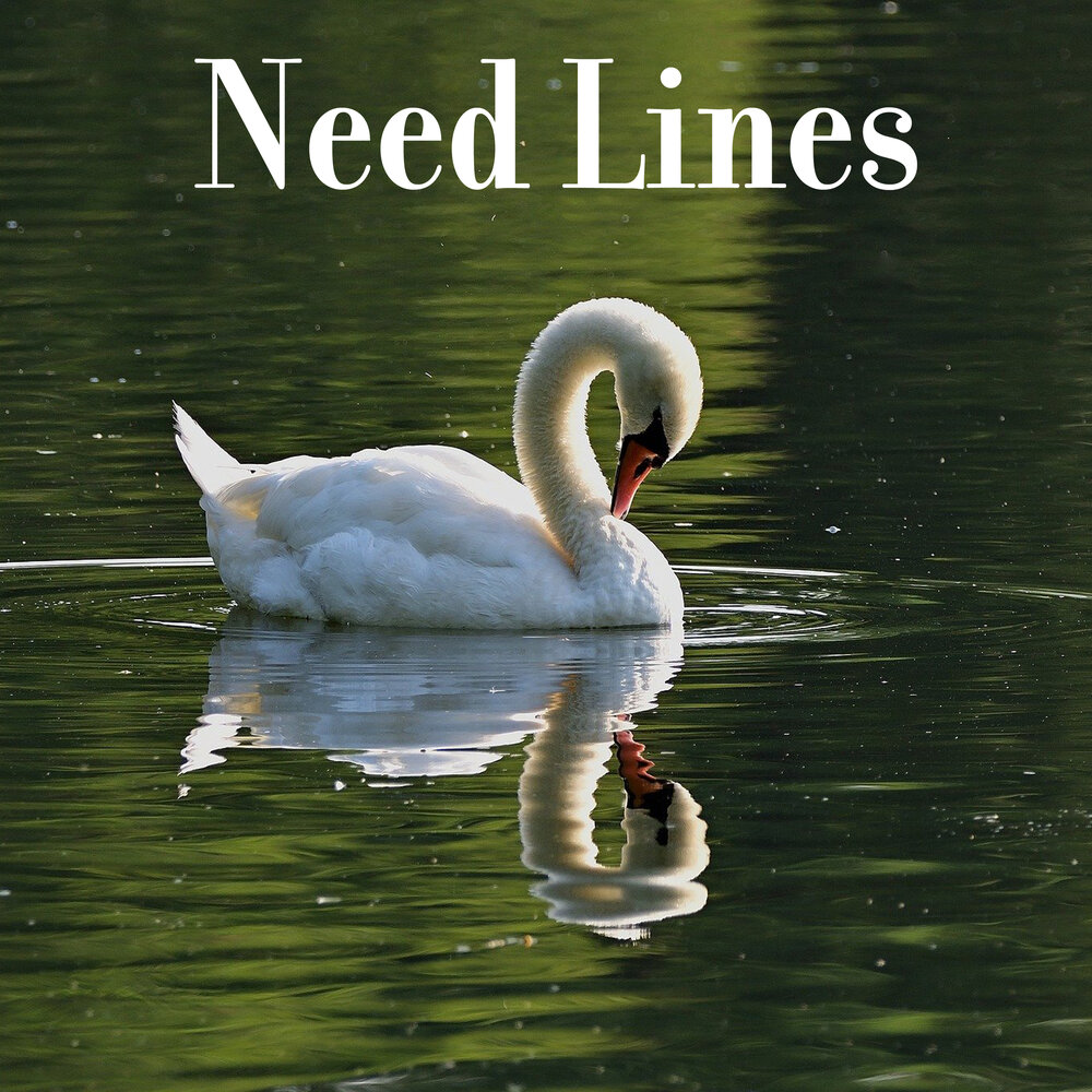 График housekeeping. Потребность вектор. Line needs. Line needs. Need you icon.