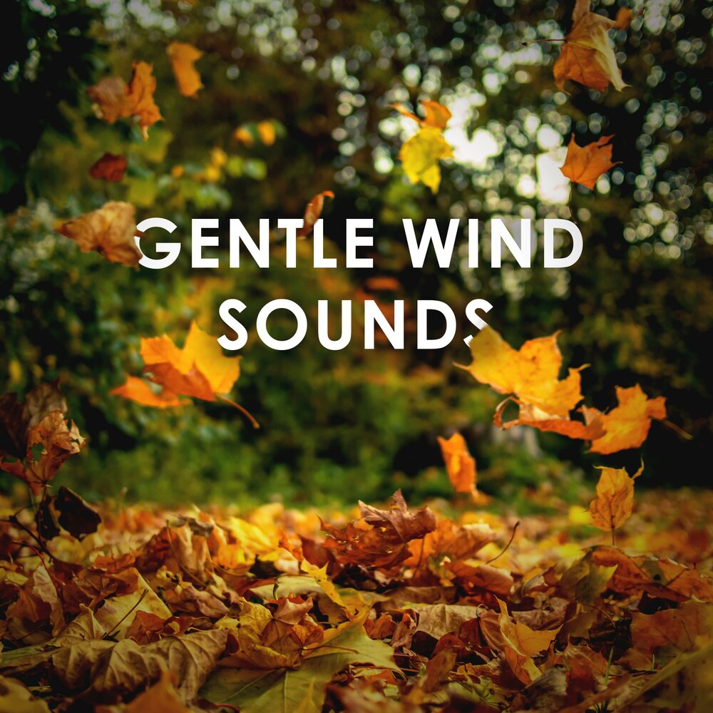 Gentle wind