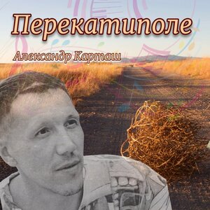 Перекатиполе