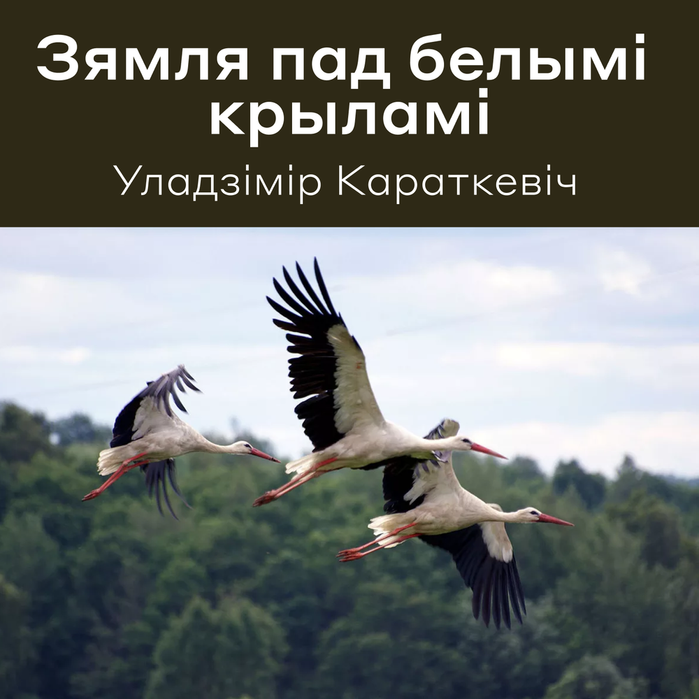 Уладзімір караткевіч зямля пад белымі крыламі план