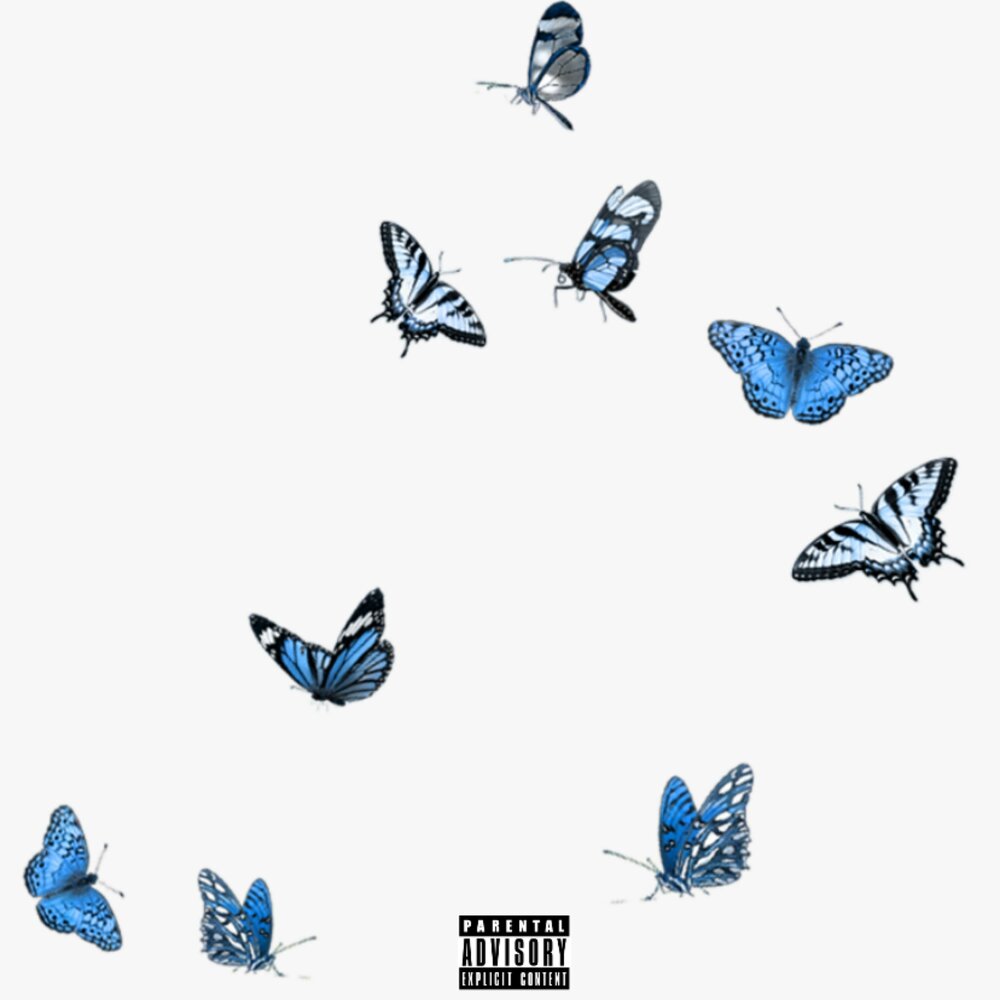 Синие бабочки на прозрачном фоне