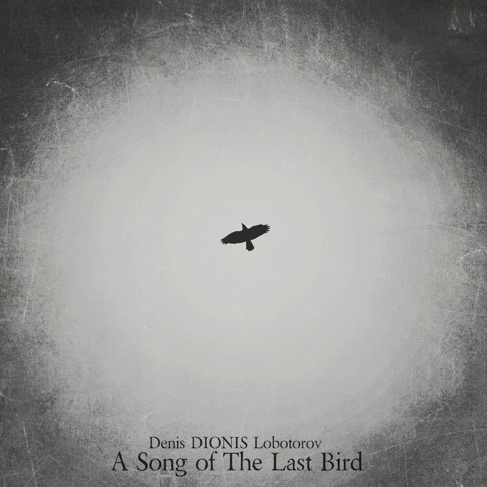 Last bird