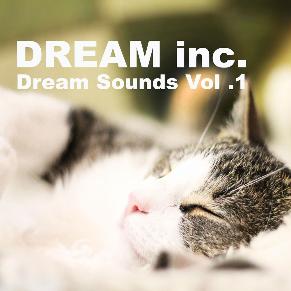 Фабрика матрасов. Фабрика снов логотип. Dream inc. Dream inc. Анатомический матрас basic comfort plus.