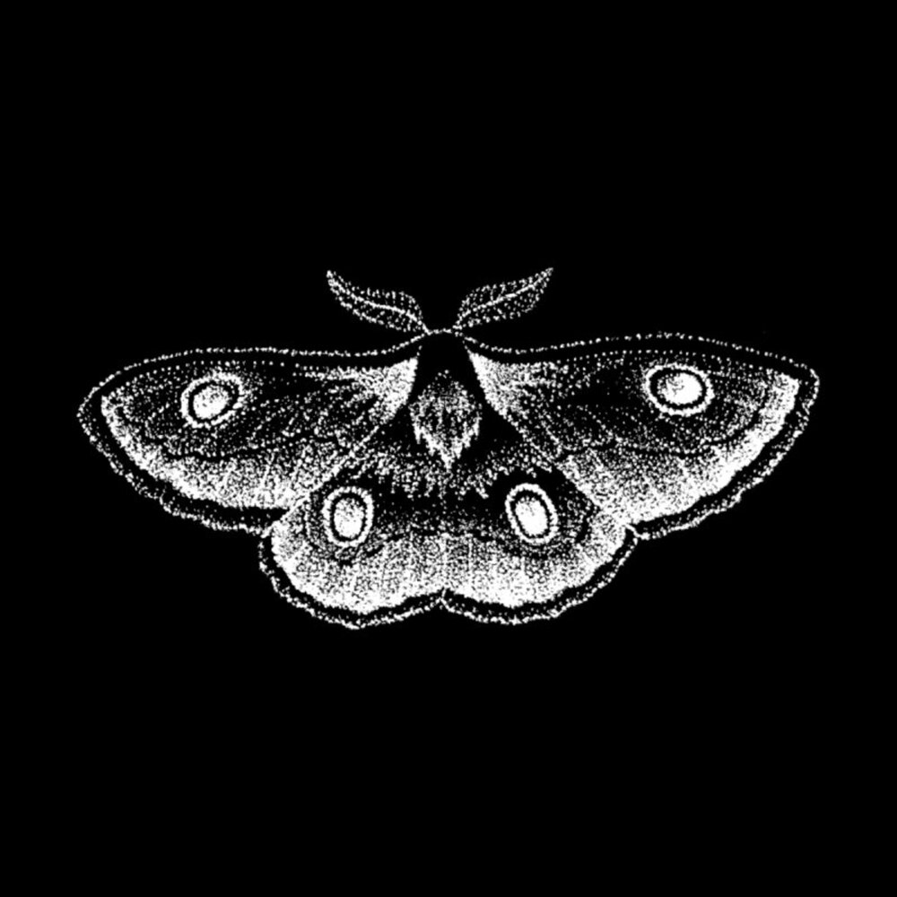 Moth equals. Moth Generator. Бренд одежды White Moth.