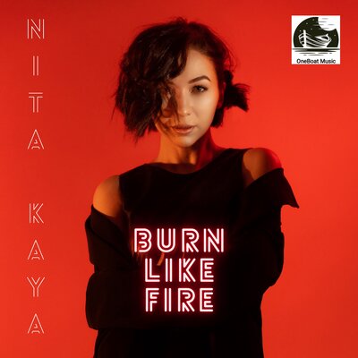 Скачать песню NITA Kaya - Burn Like Fire (M-DimA Ремикс)