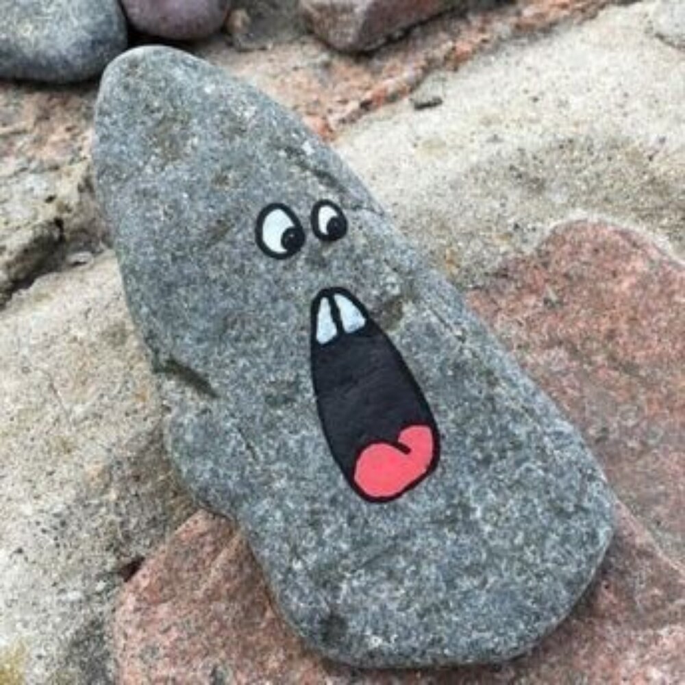 Украшение дачи с помощью камней Дизайн сада камней, Украшения, Садовые украшения