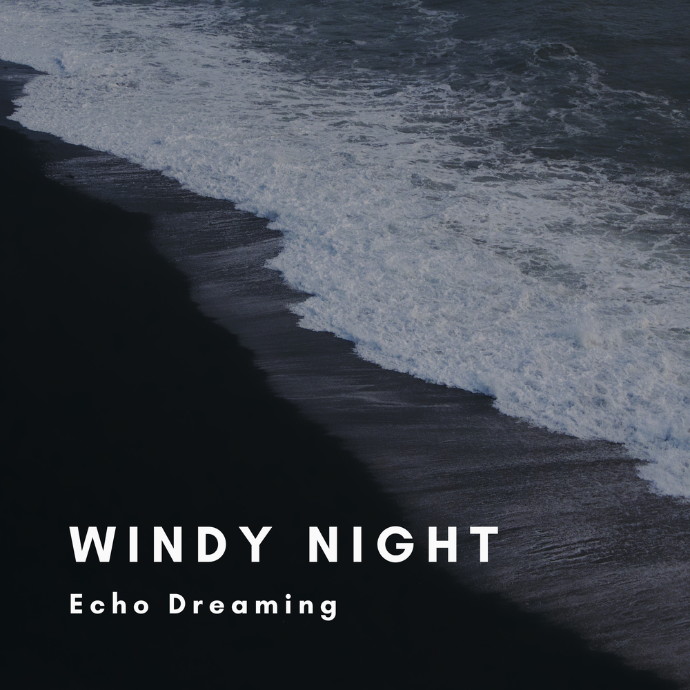 Windy nights. Windy nights by robert louis stevenson. Стихотворение the wind. Echo night. Windy nights.