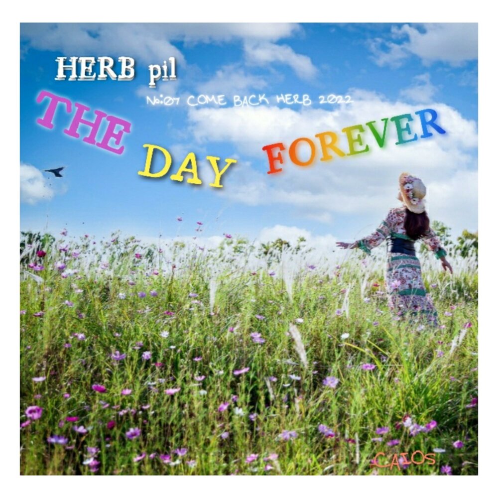 Forever day перевод