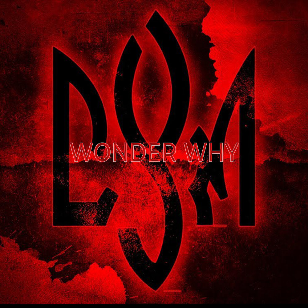 Natiform. Вандер бит. Песня wonder wonder. Wonder минус. Wonder минус.