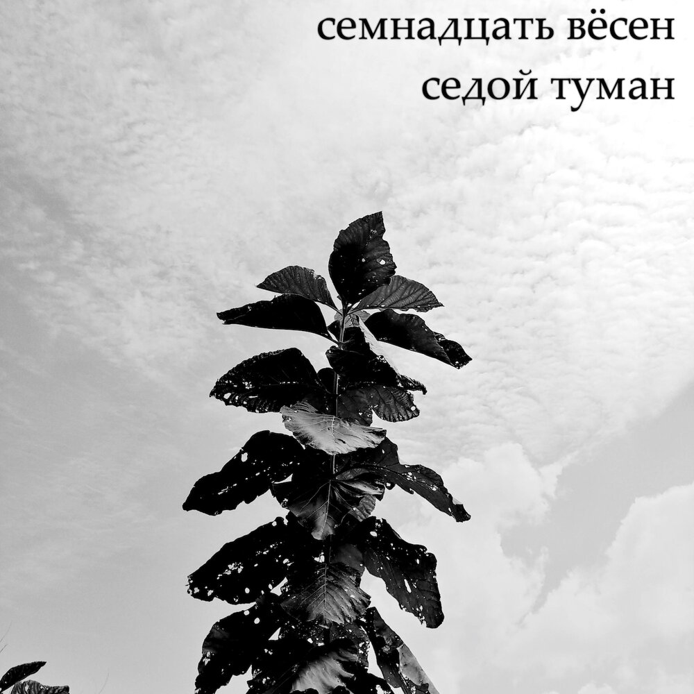 Бомбардировщики ноты. Белые туманы гудзон. Туман туман седая пелена. Слушать песни туманы седые. Слушать песни туманы седые.