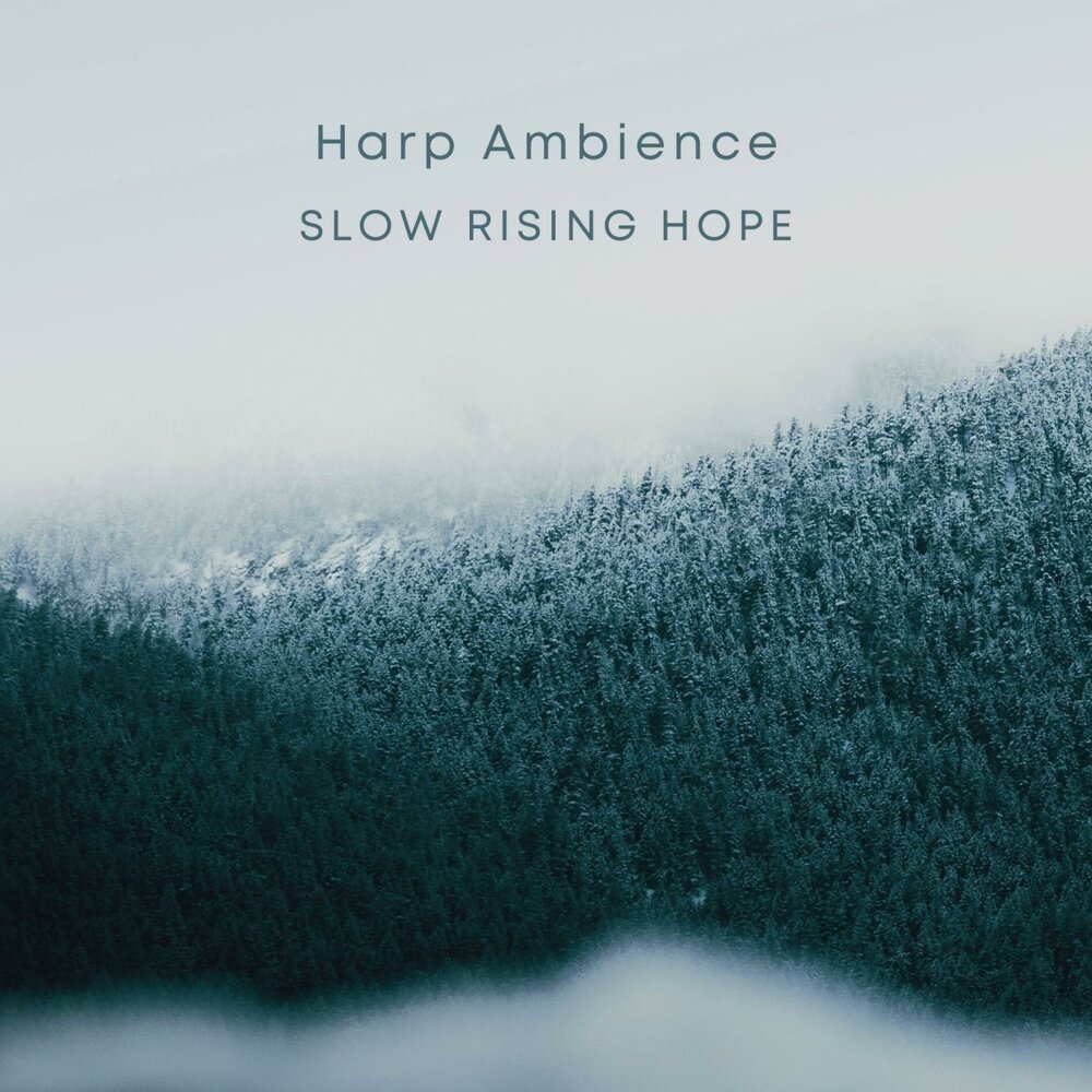 Slow rise. Slow rise. Rising hope. Rising hope. Slow rise.