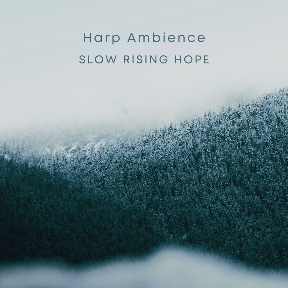 Rising hope. Slow Rise. Rising hope Song.