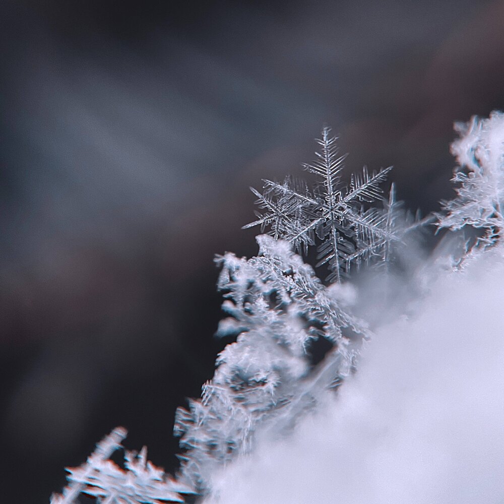 Снежинки метель. Сердце на снегу фото. Enter Winter.