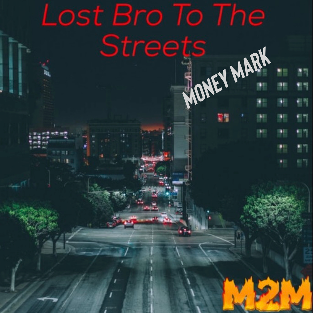 Обложка релиза Lost Bro To The Streets