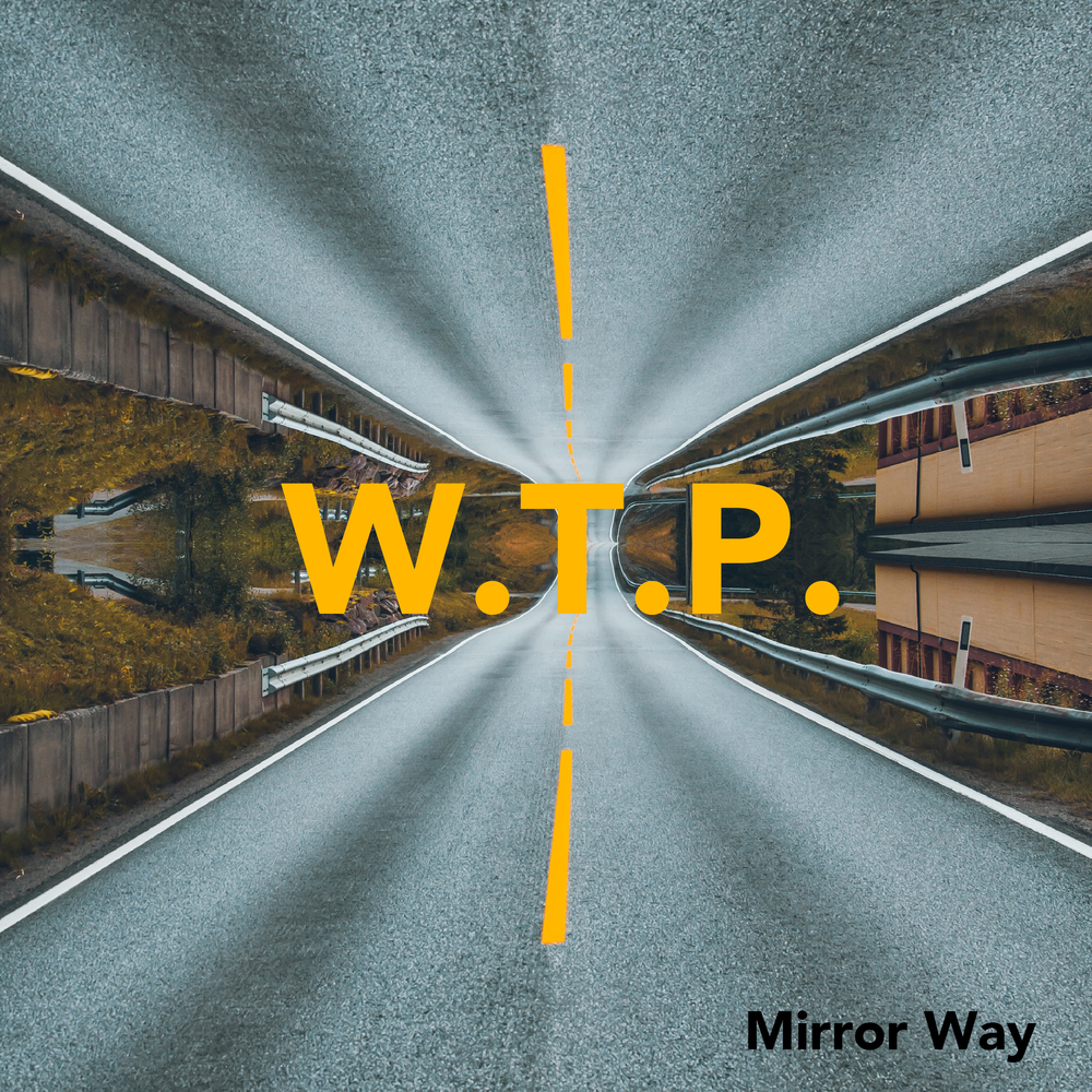 One way mirrors. 4w way.
