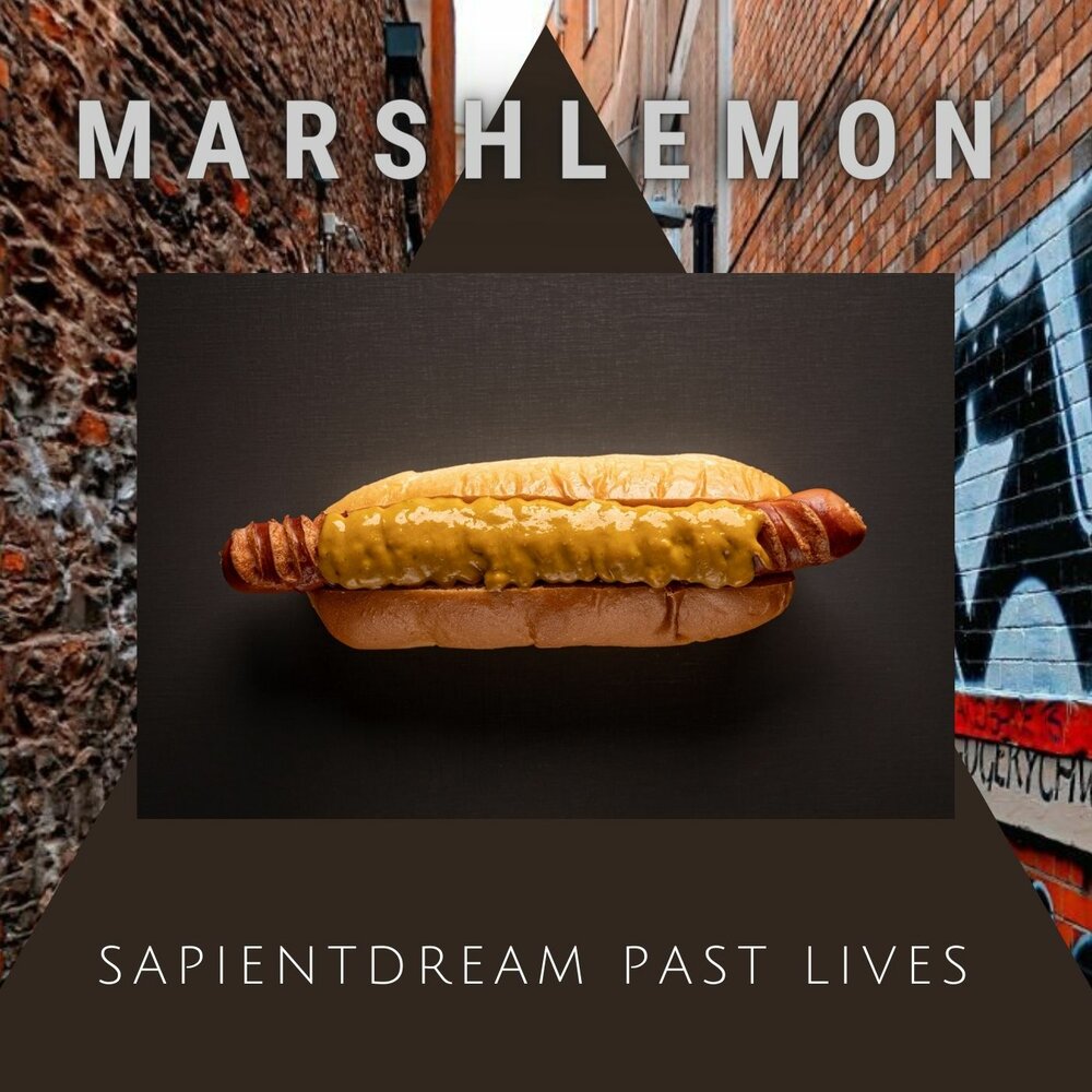 Past lives sapientdreams remix